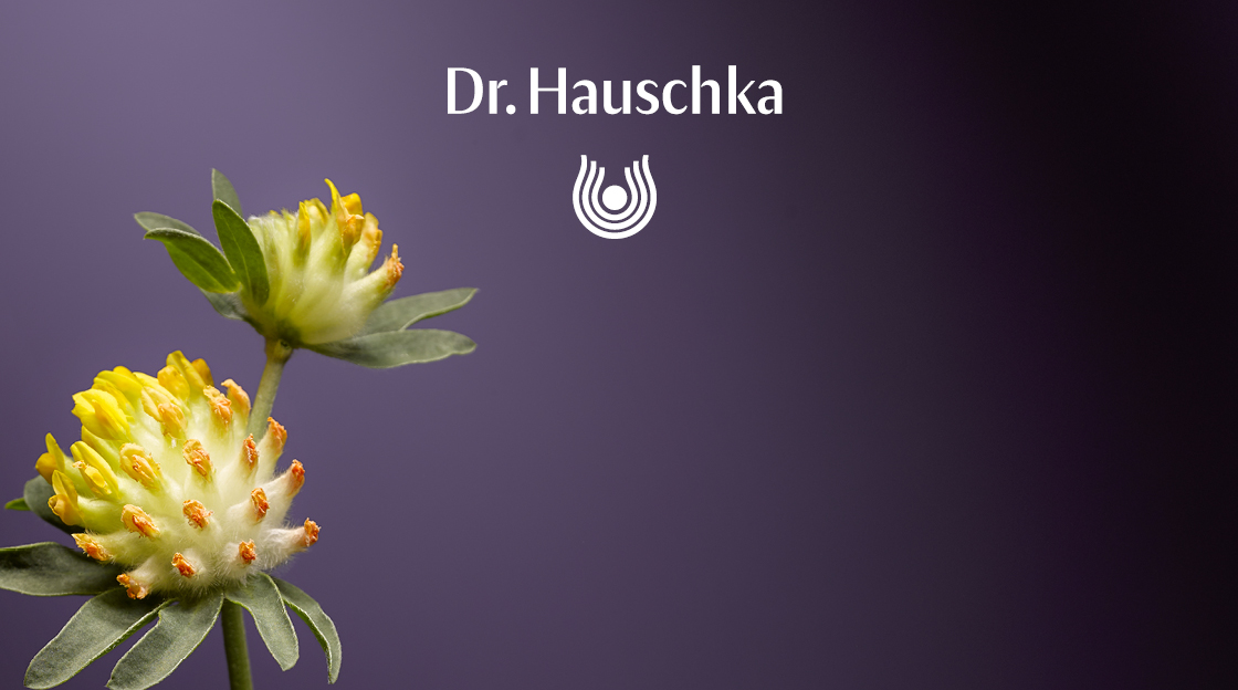 Dr. Hauschka - Teint Make-Up