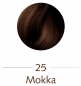 Mobile Preview: Sanotint Classic 25 Mokka