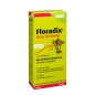 Preview: Floradix® Eisen für Kinder 250ml