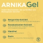 Preview: Central - Arnika Gel - 50ml