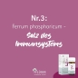 Preview: Pflüger - Schüssler Salz Nr. 3 - Ferrum phosphoricum D12 - Tabletten