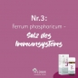 Preview: Pflüger - Schüssler Salz Nr. 3 - Ferrum phosphoricum D12 - Tropfen