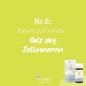 Preview: Pflüger - Schüssler Salz Nr. 6 - Kalium sulfuricum D6 - Tabletten