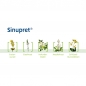 Preview: Sinupret Saft - 100ml