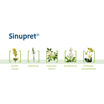 Sinupret Extract