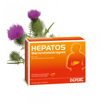 Hevert - Hepatos Mariendisteldragees - 100 Tabletten