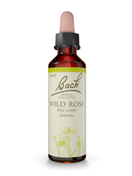 Original Bachblüte Wild Rose Nr. 37 - 20ml