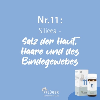Pflüger - Schüssler Salz Nr. 11 - Silicea D4 - Lotion 200g
