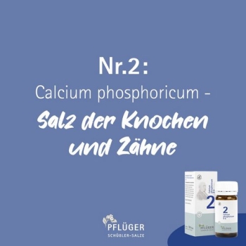 Pflüger - Schüssler Salz Nr. 2 - Calcium phosphoricum D6 - Tabletten