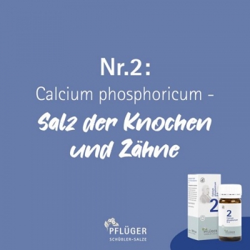 Pflüger - Schüssler Salz Nr. 2 - Calcium phosphoricum D12 - Globuli 15g