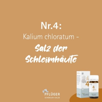 Pflüger - Schüssler Salz Nr.4 - Kalium chloratum D6 - Pulver 100g