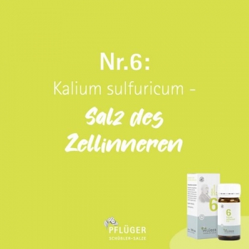 Pflüger - Schüssler Salz Nr. 6 - Kalium sulfuricum D6 - Pulver