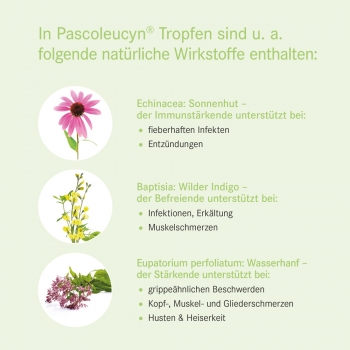 Pascoe - Pascoleucyn SL Tropfen 50ml