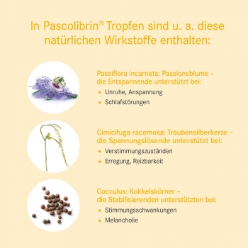 Pascoe - Pascolibrin Tropfen 50ml