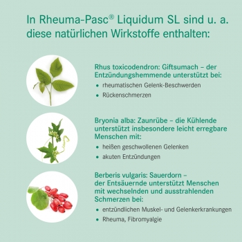 Pascoe - Rheuma Pasc Liquidum SL 50ml