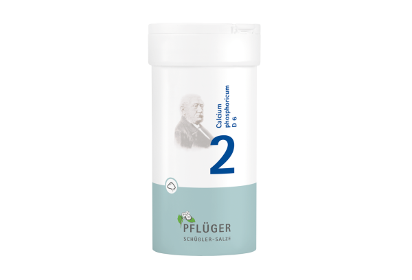 Pflüger - Schüssler Salz Nr.2 - Calcium phosphoricum D6 - Pulver