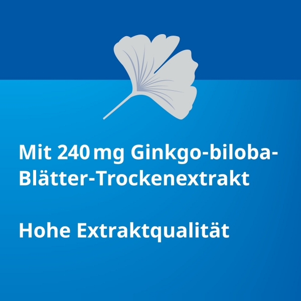 Ginkgo STADA - 240 mg Filmtabletten