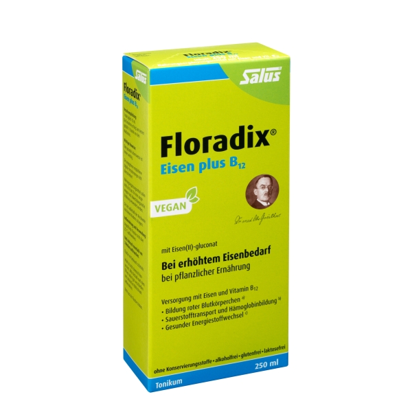 Floradix® Eisen plus B12 vegan 250ml