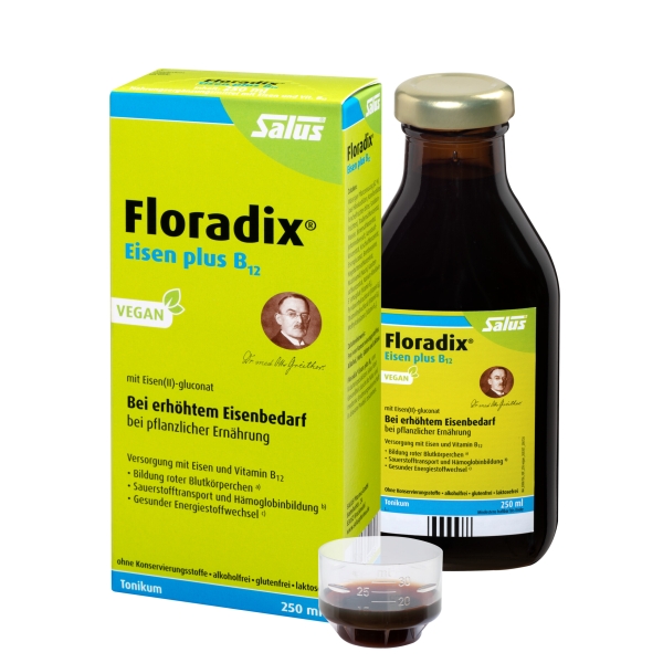 Floradix® Eisen plus B12 vegan 250ml