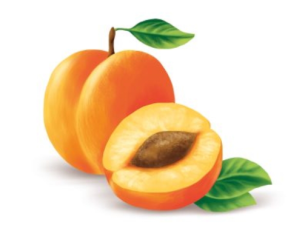 Aprikosenkern Basis-Öl Bio/Demeter 50ml