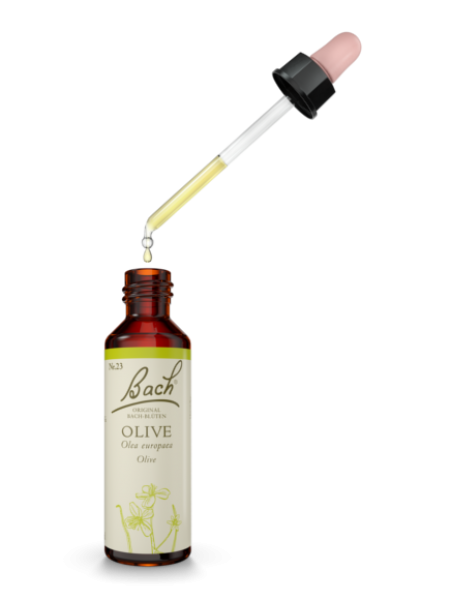 Original Bachblüte Olive Nr. 23 - 20ml