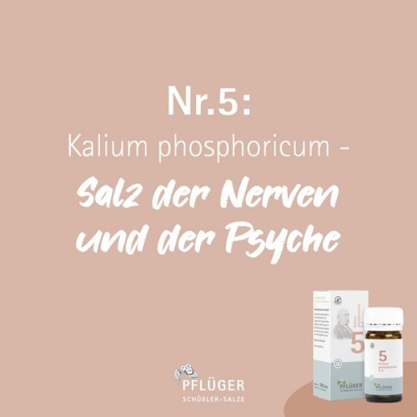 Pflüger - Schüssler Salz Nr. 5 - Kalium phosphoricum D6 - Tabletten