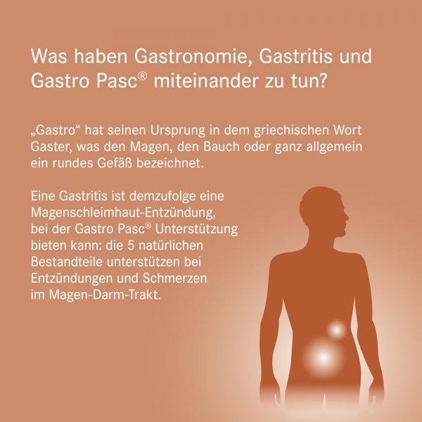Pascoe - Gastro Pasc 20ml